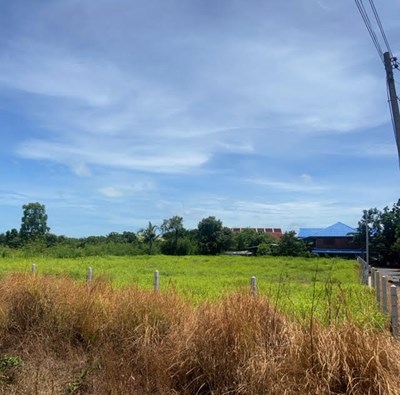 ขายที่ดินหมู่บ้านพลา - ที่ดิน - Phla - 